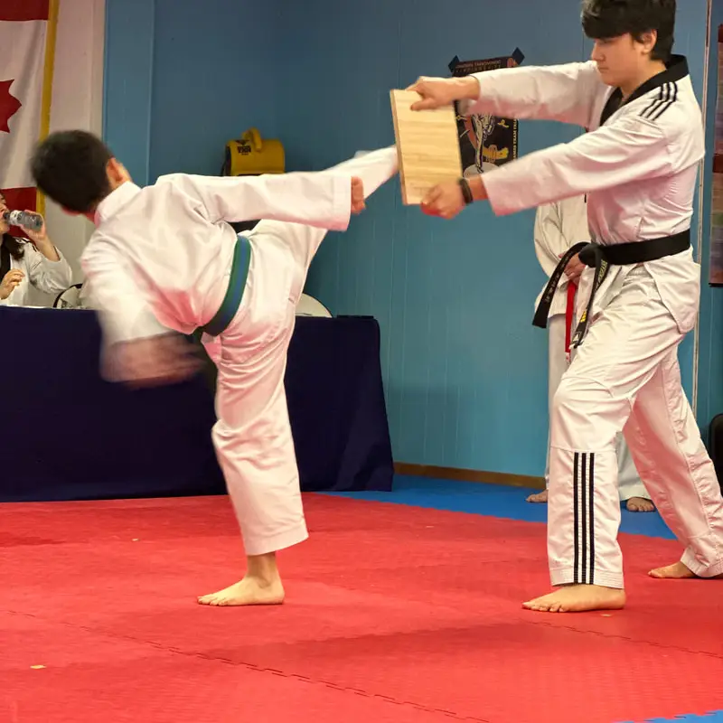 Tri Star Taekwondo