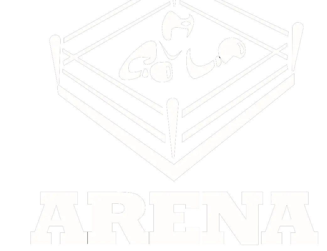 Academia Arena Combate