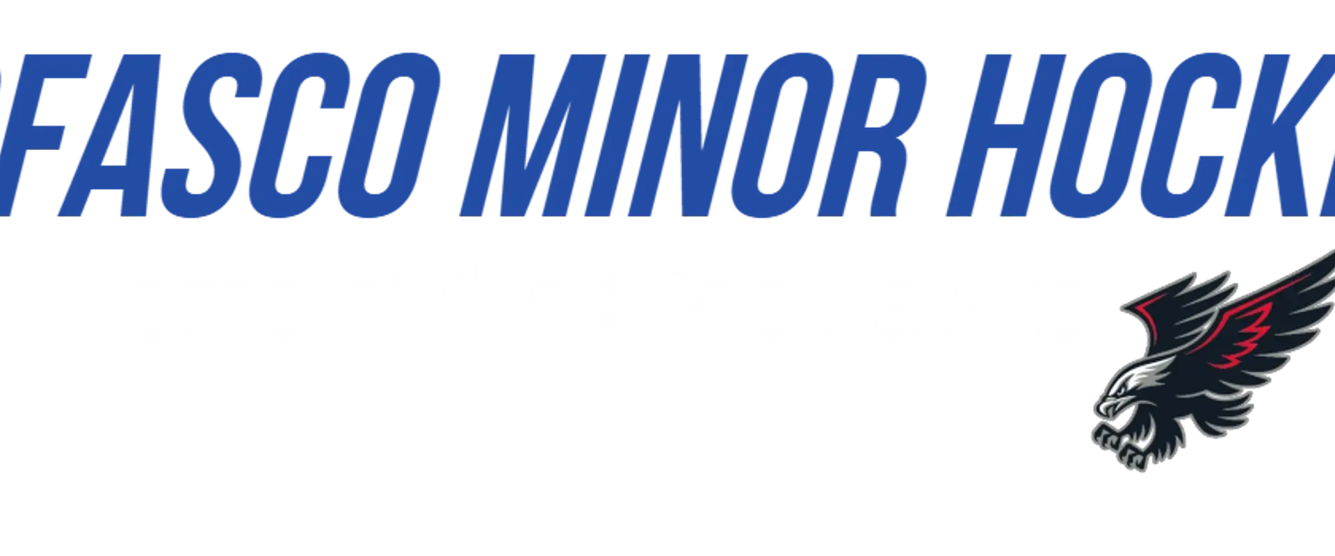 Dofasco Minor Hockey League