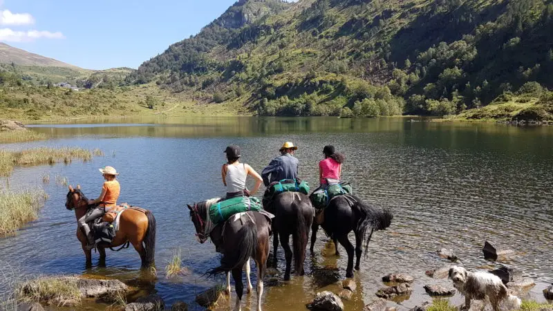 Pyrenees A Cheval