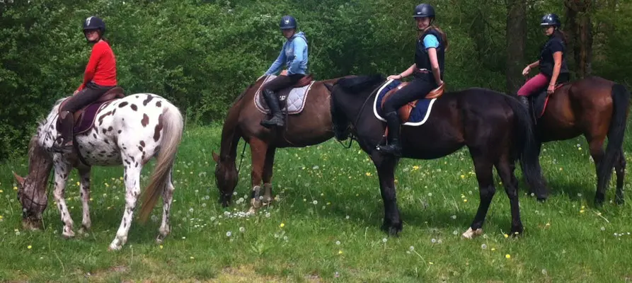 BRUERE JUMP