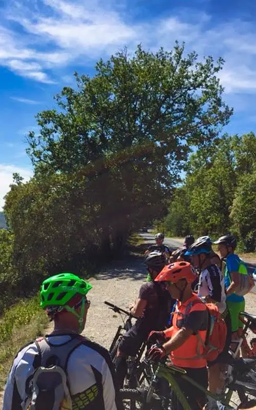 Vtt Dordogne Périgord M. Nicolas Roulland