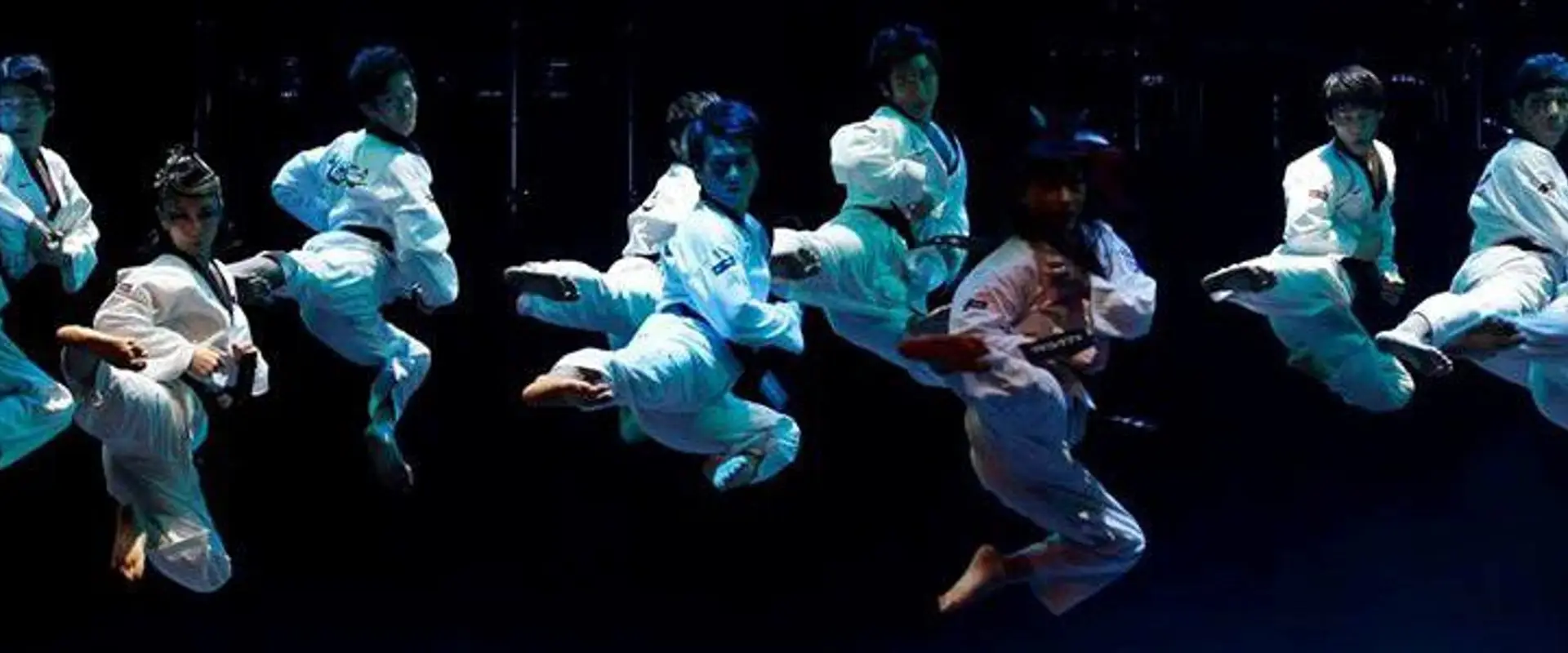 Taekwondo Pontoise Ferana
