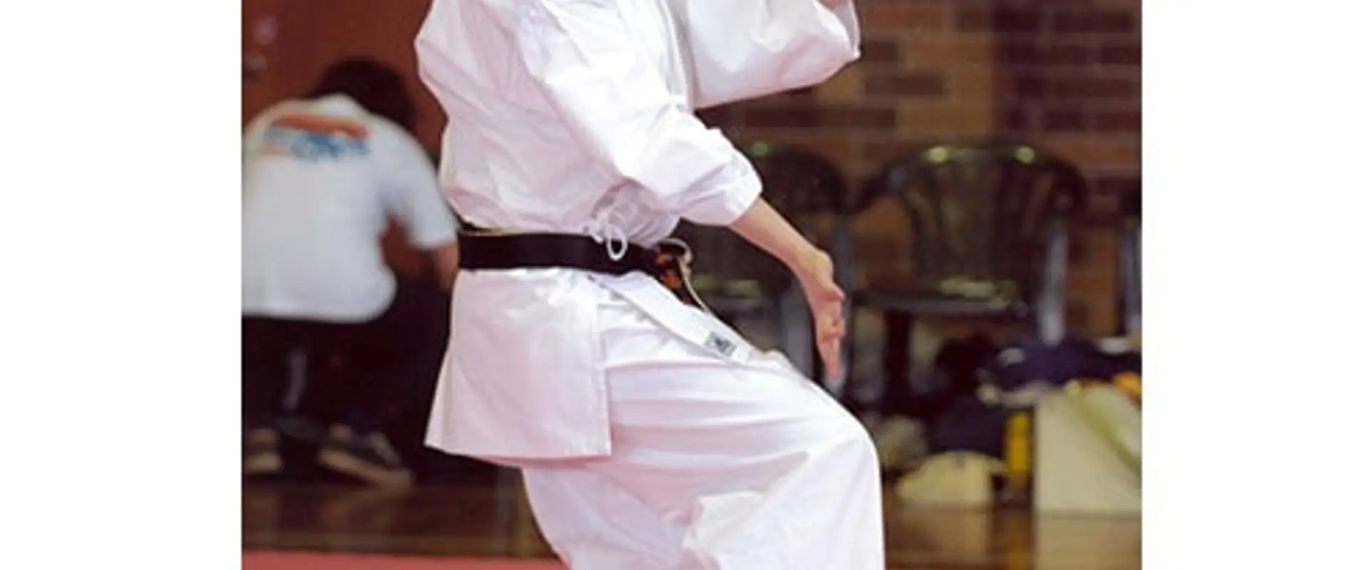 Karate Academy of Japan Gojuryu Shailer Park