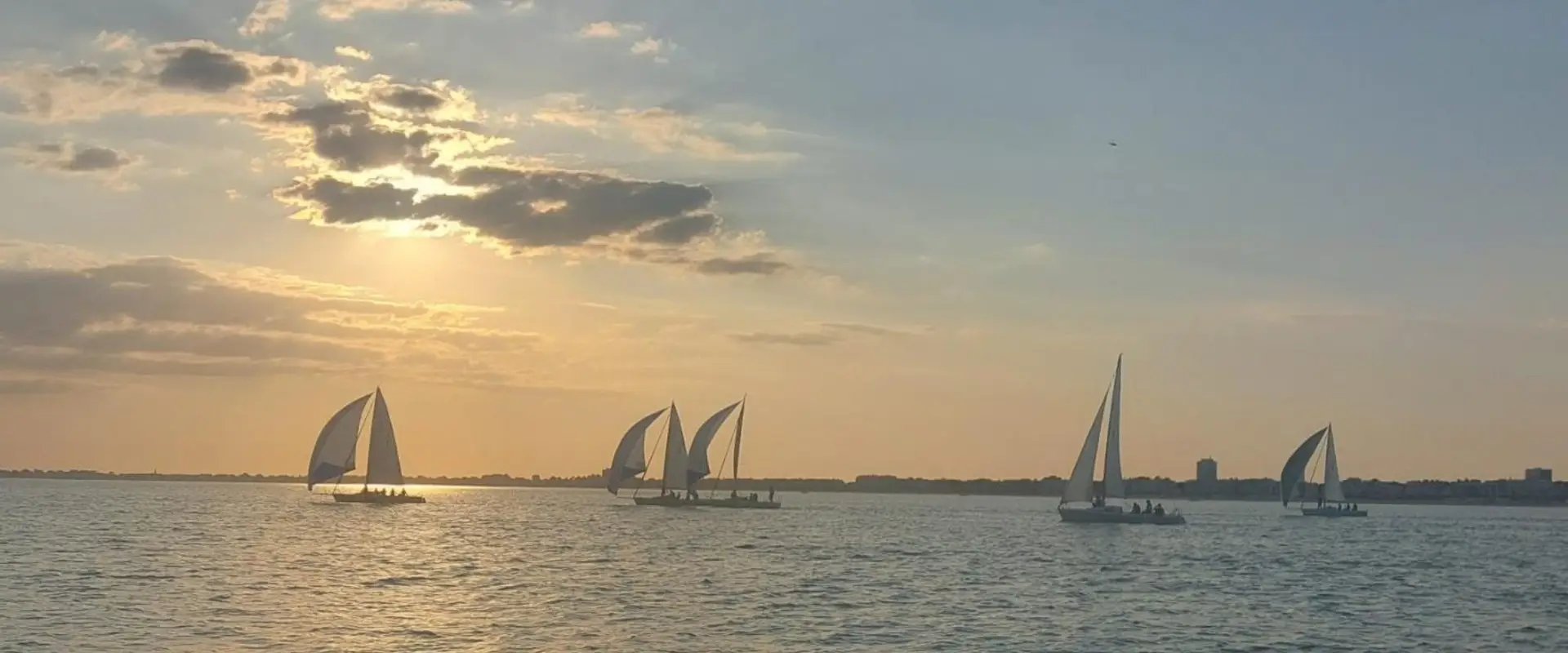 Yacht Club Apcc Voile Sportive
