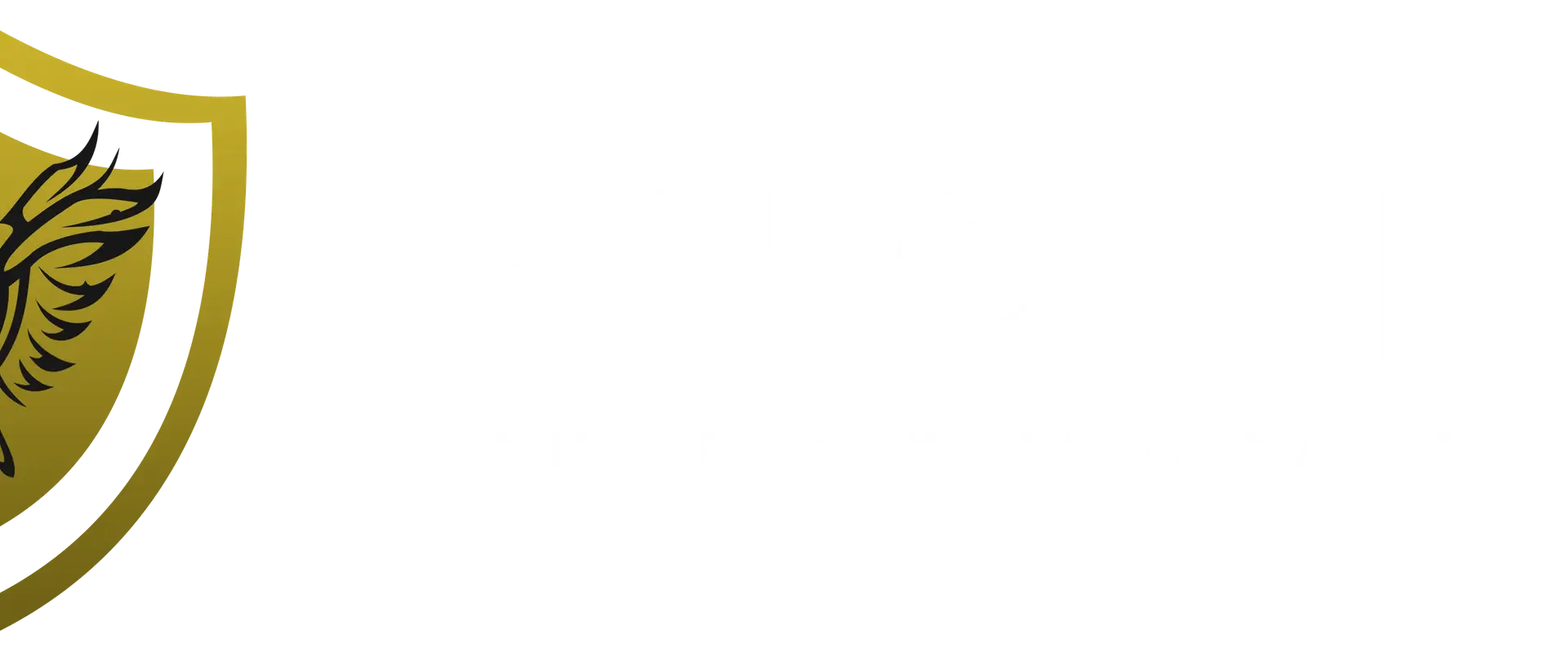 Phoenix Mind & Body Performance
