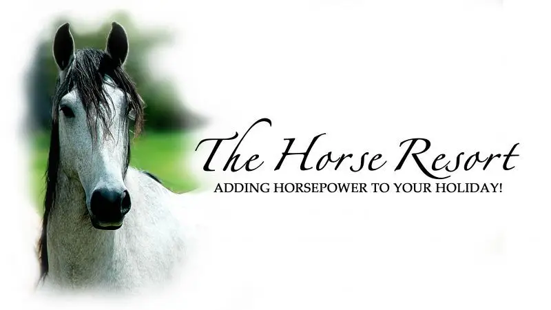 The Horse Resort - horse riding in Margaret River