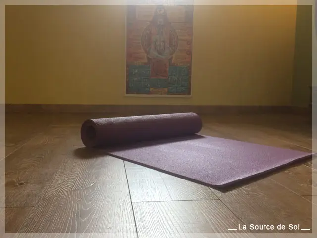 La Source Du Soi Center Kriya Yoga Dijon / Therapies Manuelles / Aesthetic
