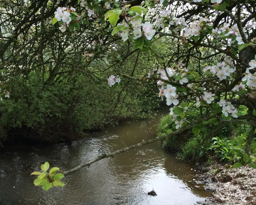 Gloucester Angling Club