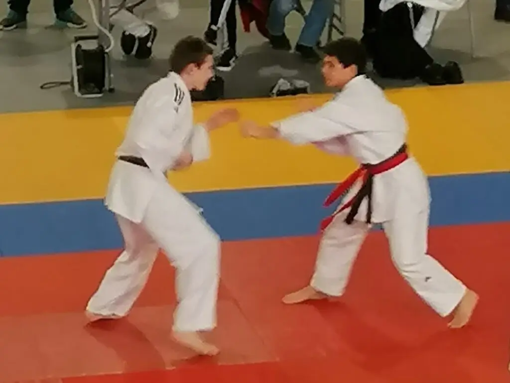 Rhodia Judo Club