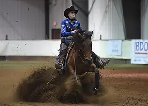 CD Quarter Horses
