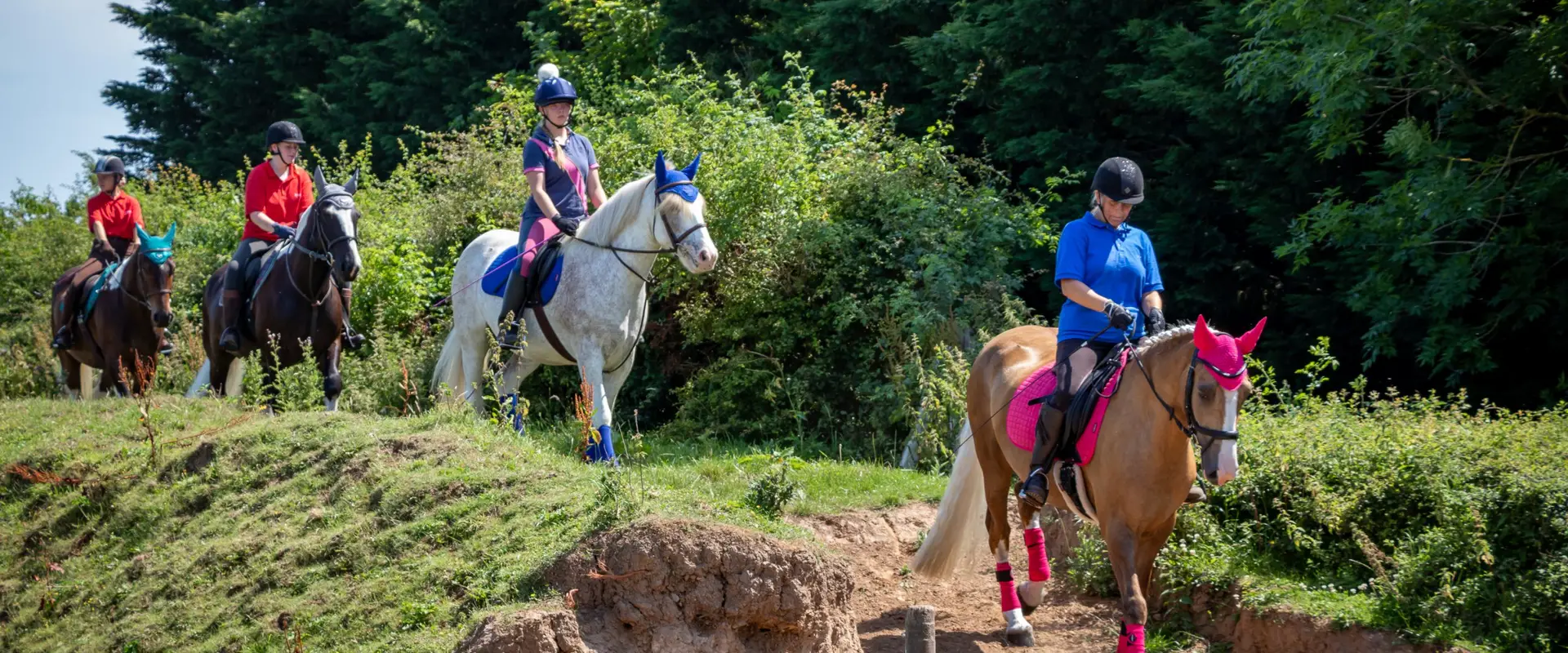Black Cat Equestrian Centre