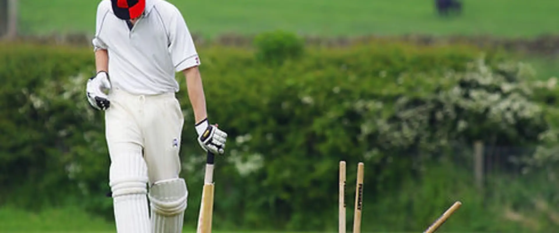 Career Cricket Academy