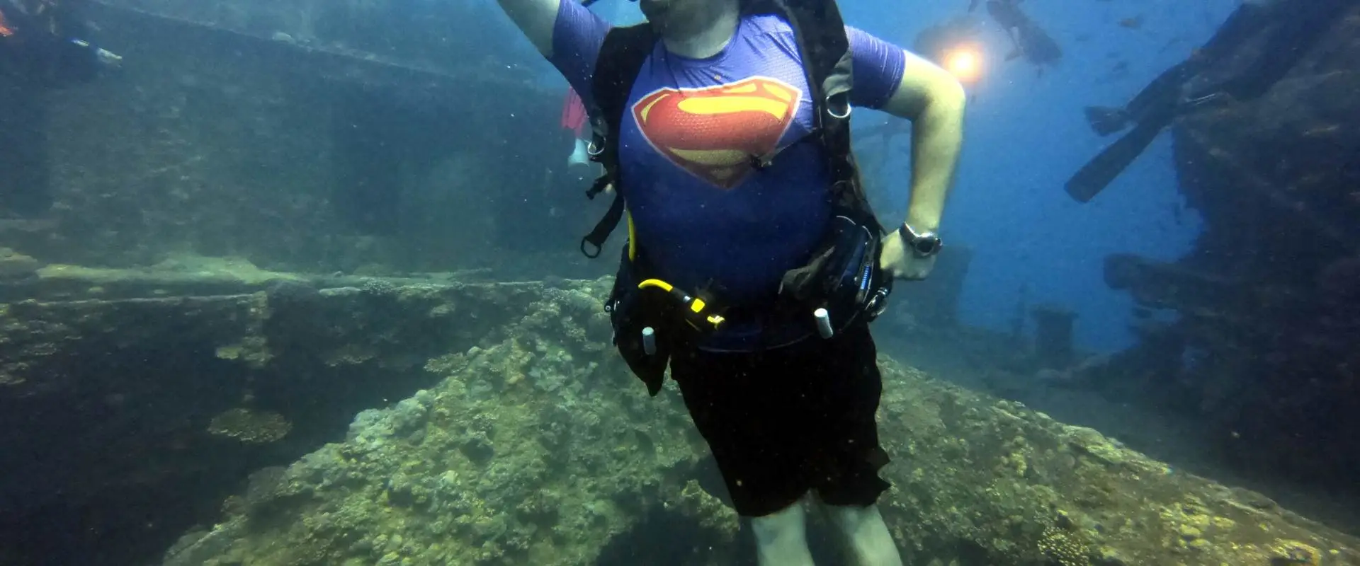 Orca Diving