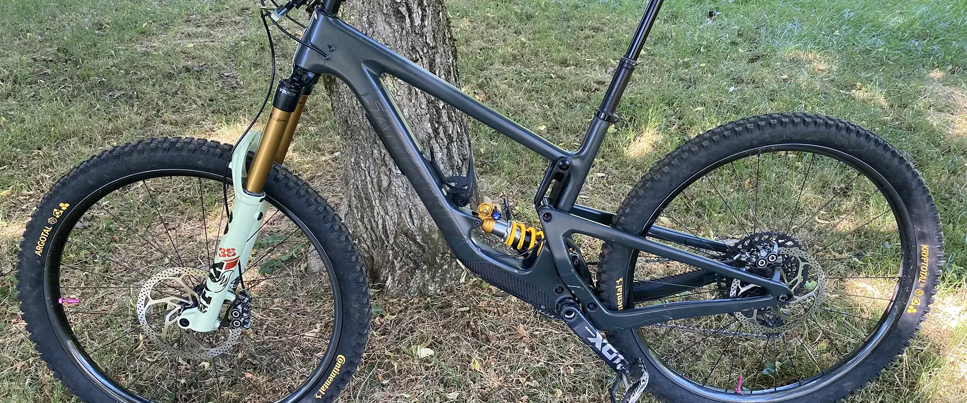 Bike Shepherd