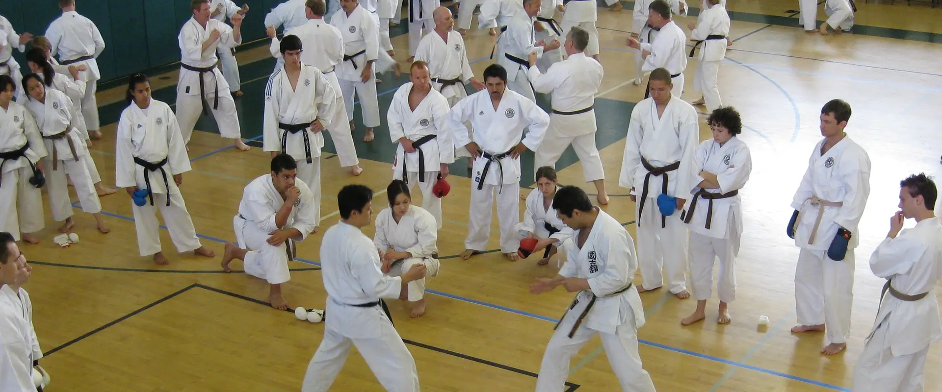 Westmount Karate-Do & Kobudo Club