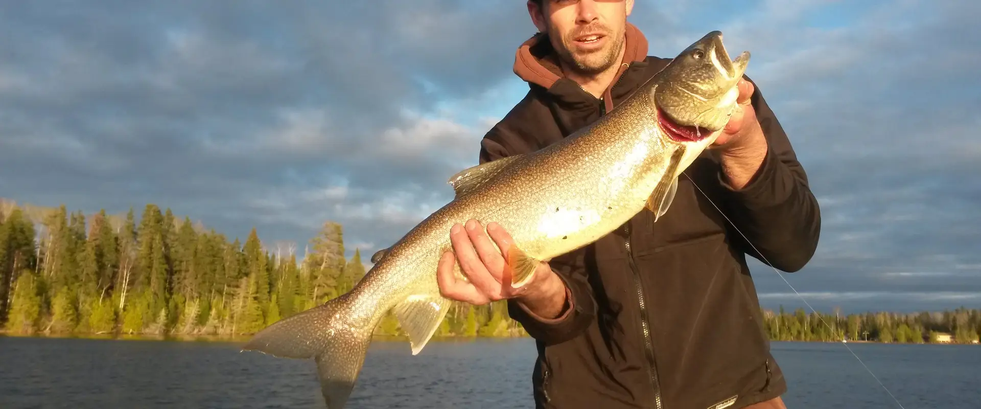 Pasha Lake Cabins