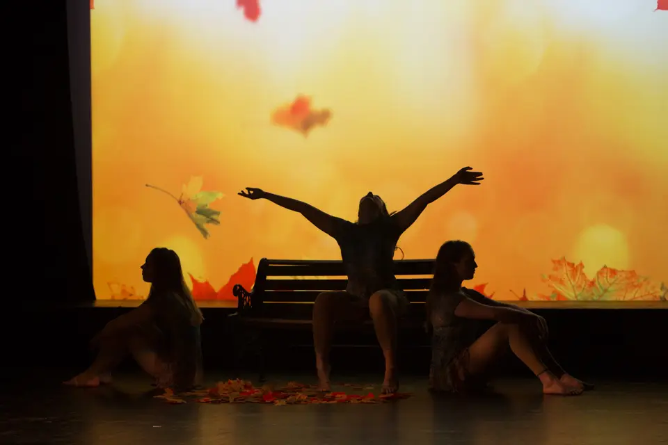 Shee'k Dance Studio