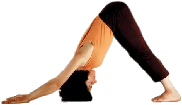 Yoga Center Satyananda De L'aube