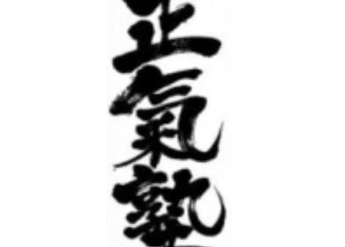 Guildford Seiki-Juku Karate Club