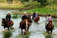 Tasman Rides