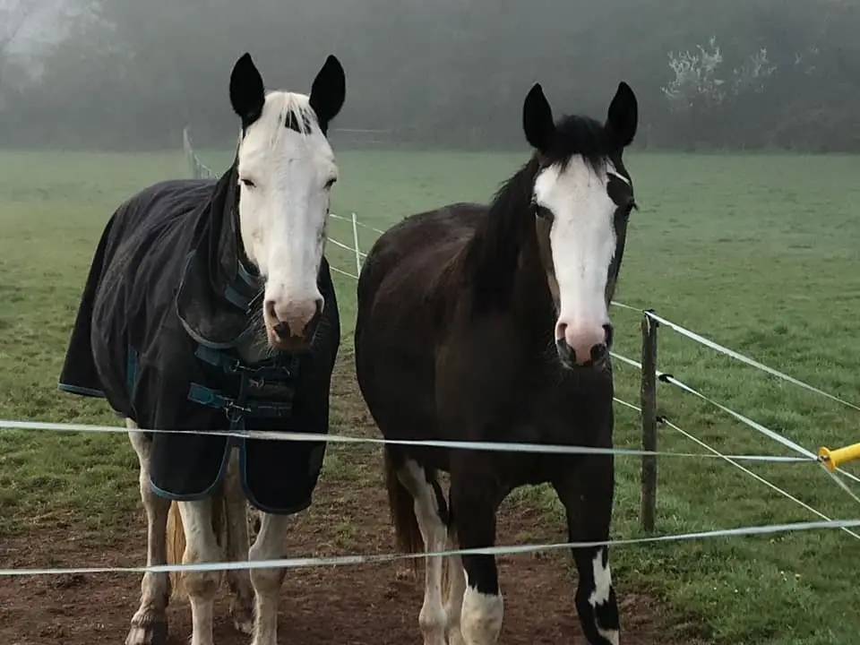 Burcott Riding Centre