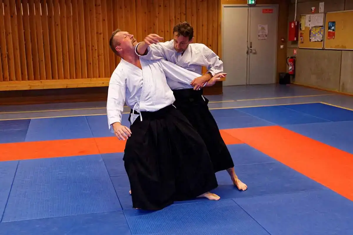 Aiki-club de Cachan