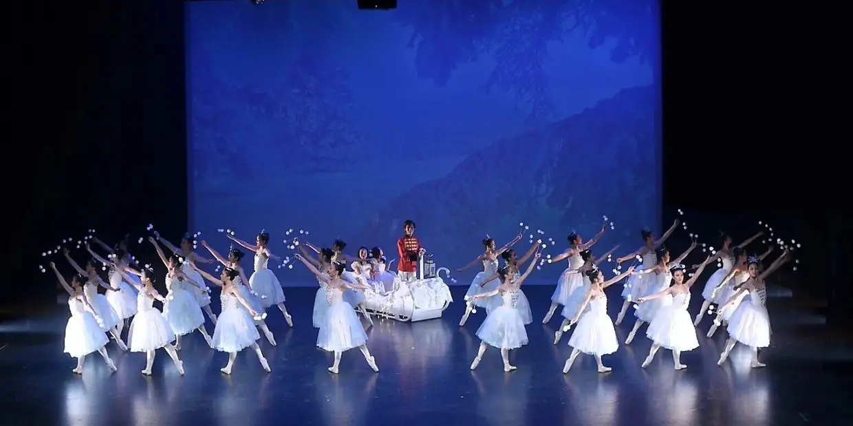 The School of Toronto City Ballet