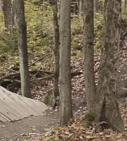 Wolf Bike Park