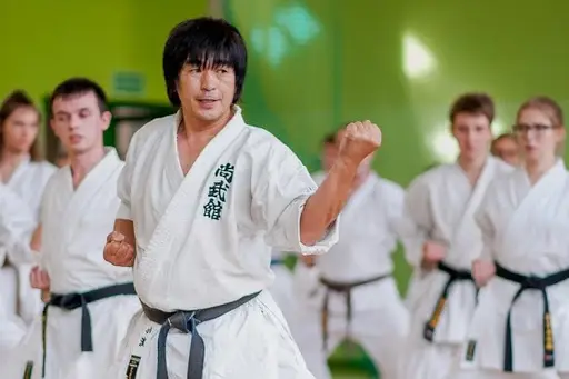 Karate & Fitness (International Budo Shotokan Karate Do Association)