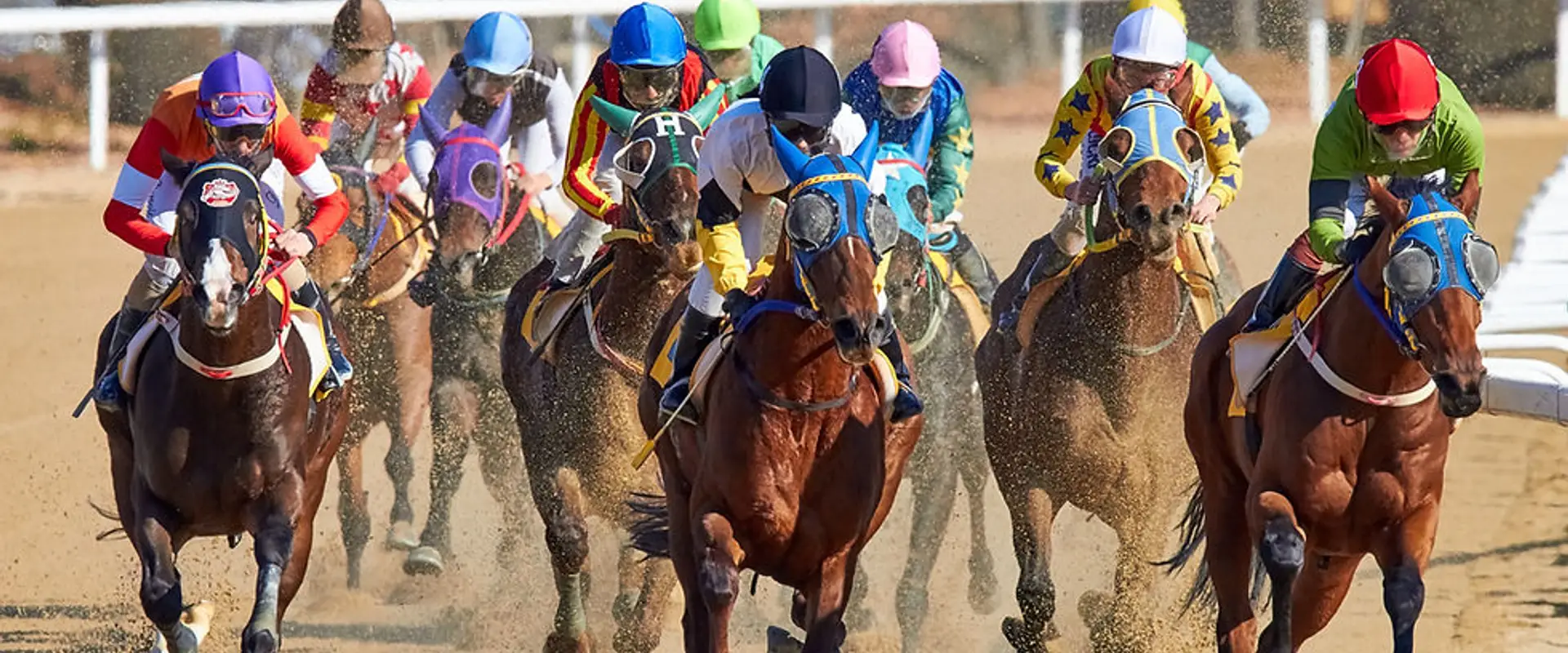 Pingrup Race Club