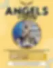 The Angels Academies