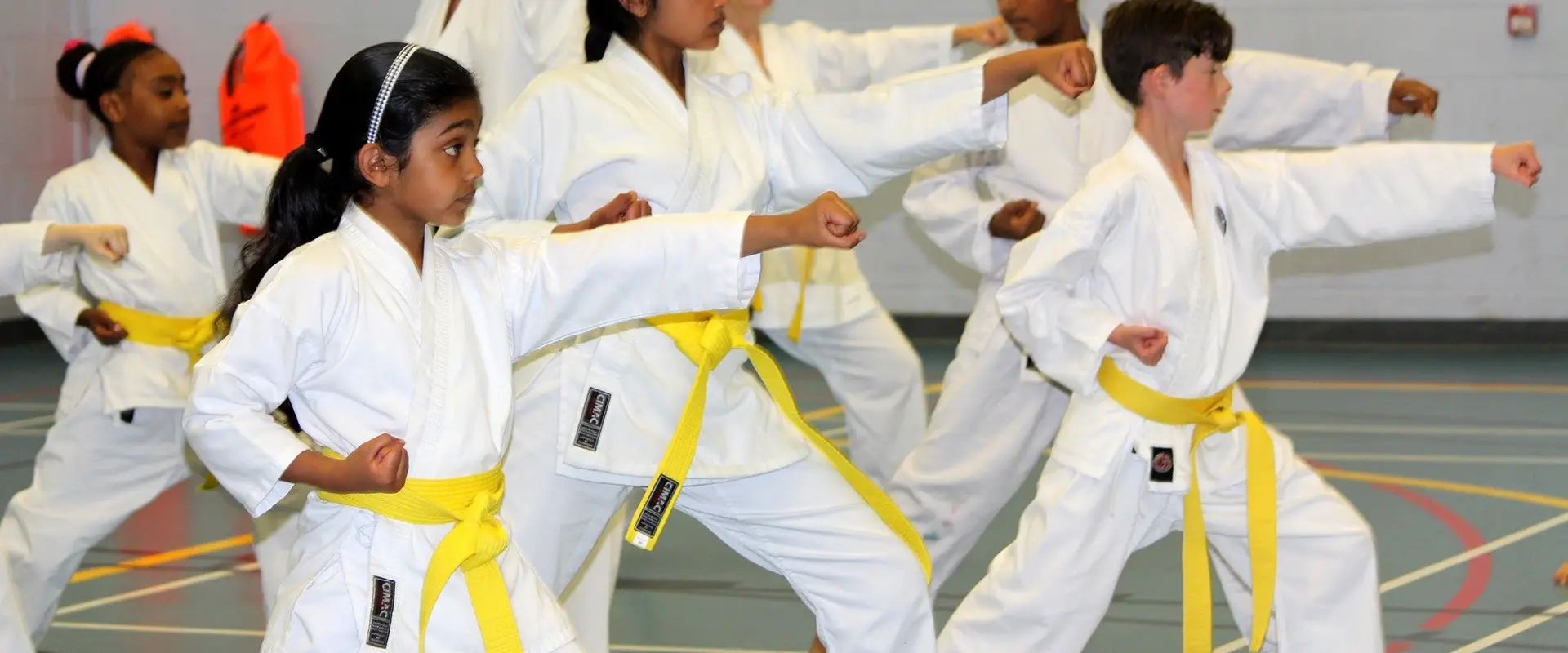 Blacklion Greystones USKFI Karate