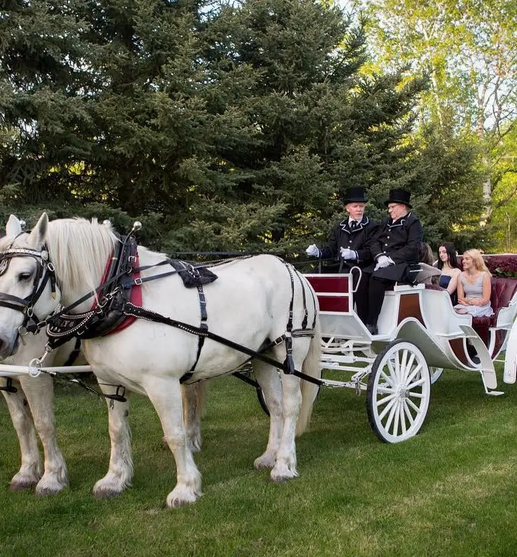 Iron Horse Turtle Ranch Carriage and Sleigh Service
