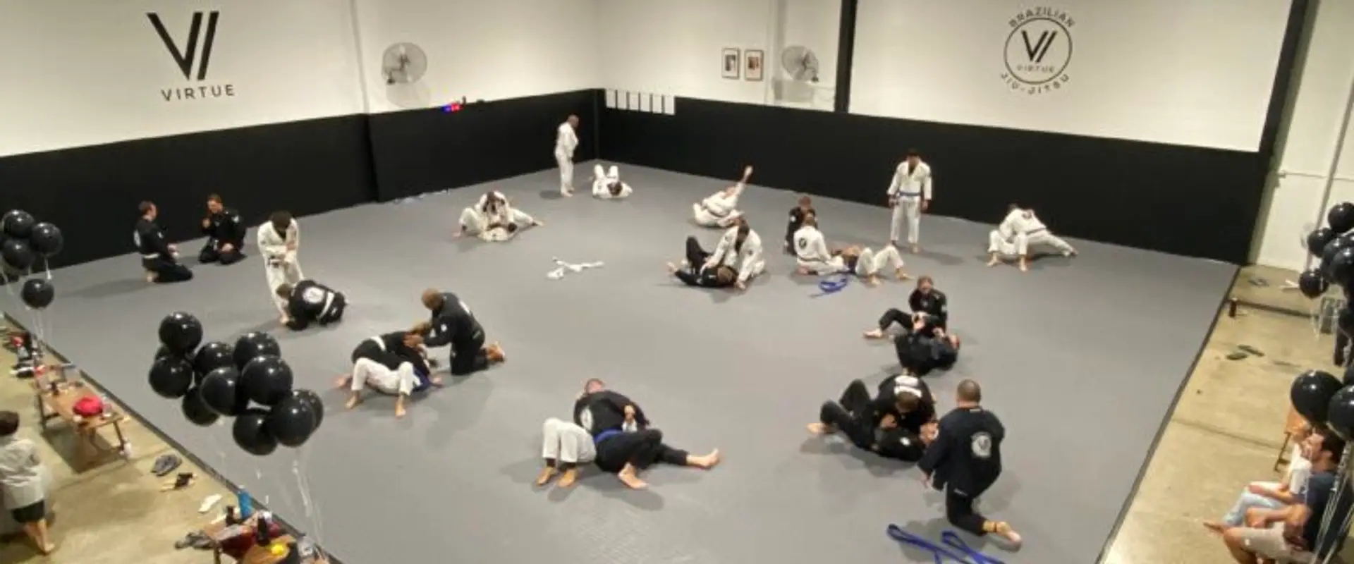 Virtue Brazilian Jiu-Jitsu