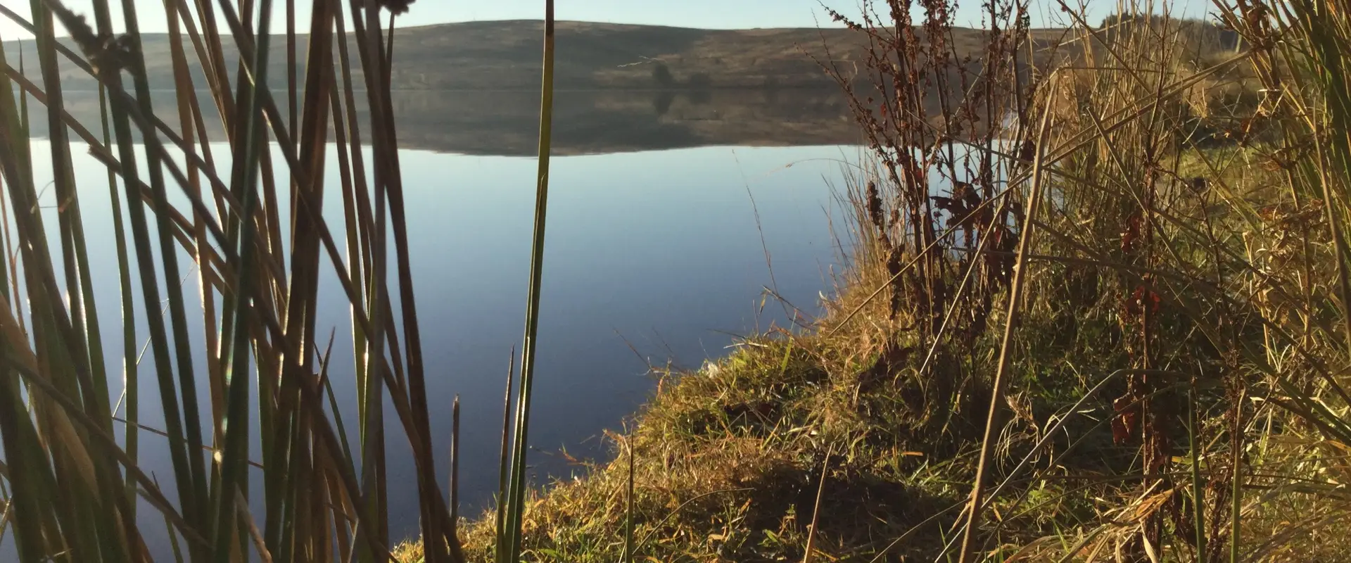 Watch Fly Reservoir