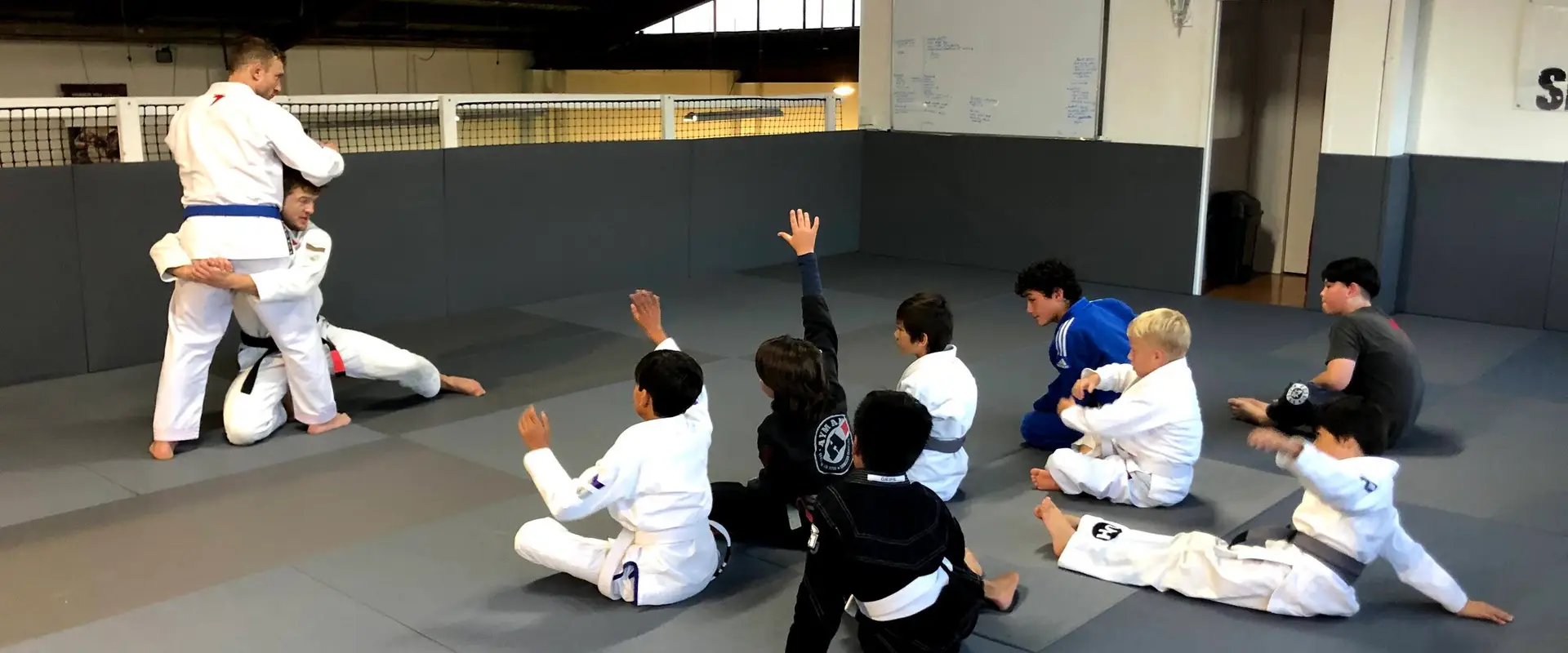 Syzygy BJJ