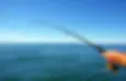 Predator Fishing Charters