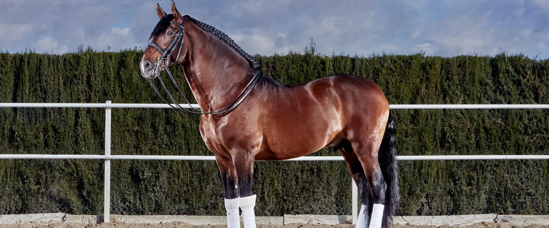 Trent Park Equestrian Centre