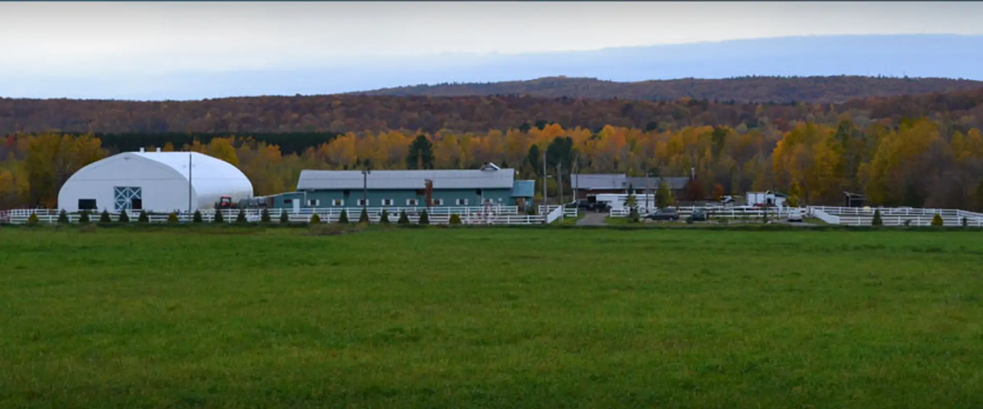 MD Stables