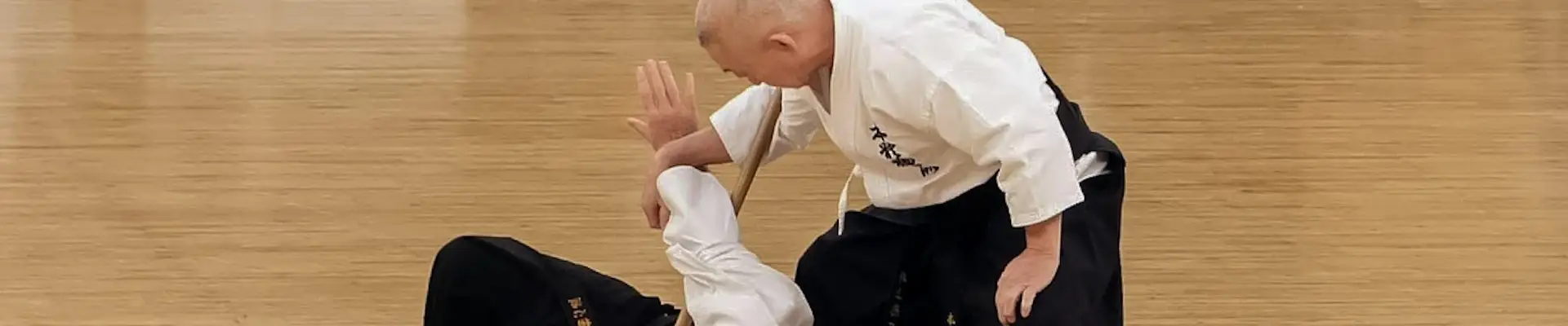 Hontai Yoshin Ryu Ilfracombe