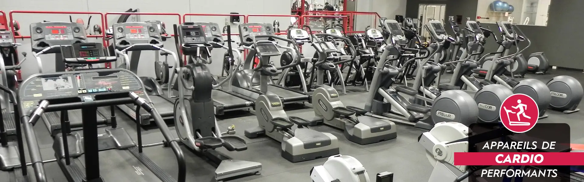 Excellence Fitness