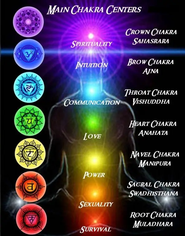 Mila Wellbeing, Reiki Healer, Reiki Teacher, Intuitive Life Coach, Holistic Therapist, Remote Healer