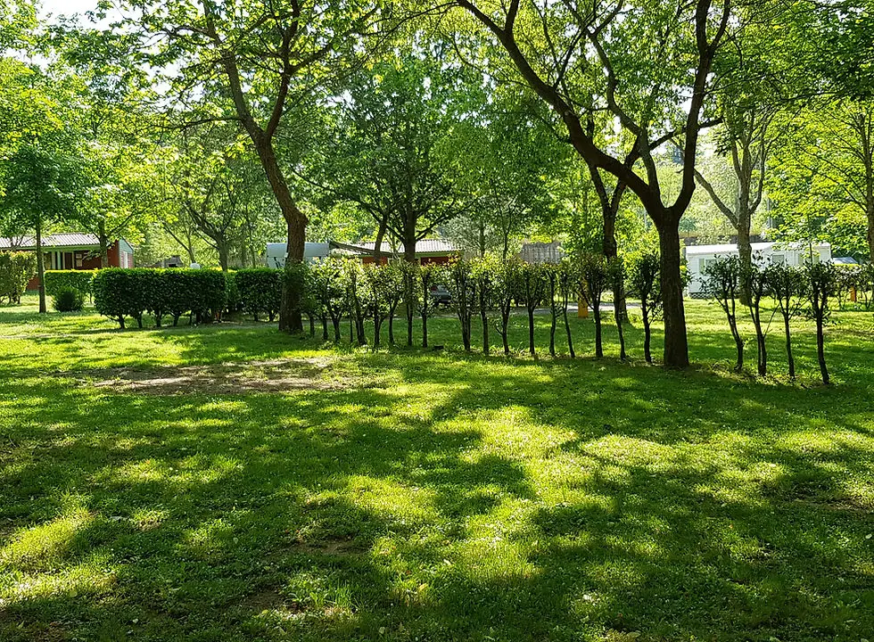 Camping Verte Rive