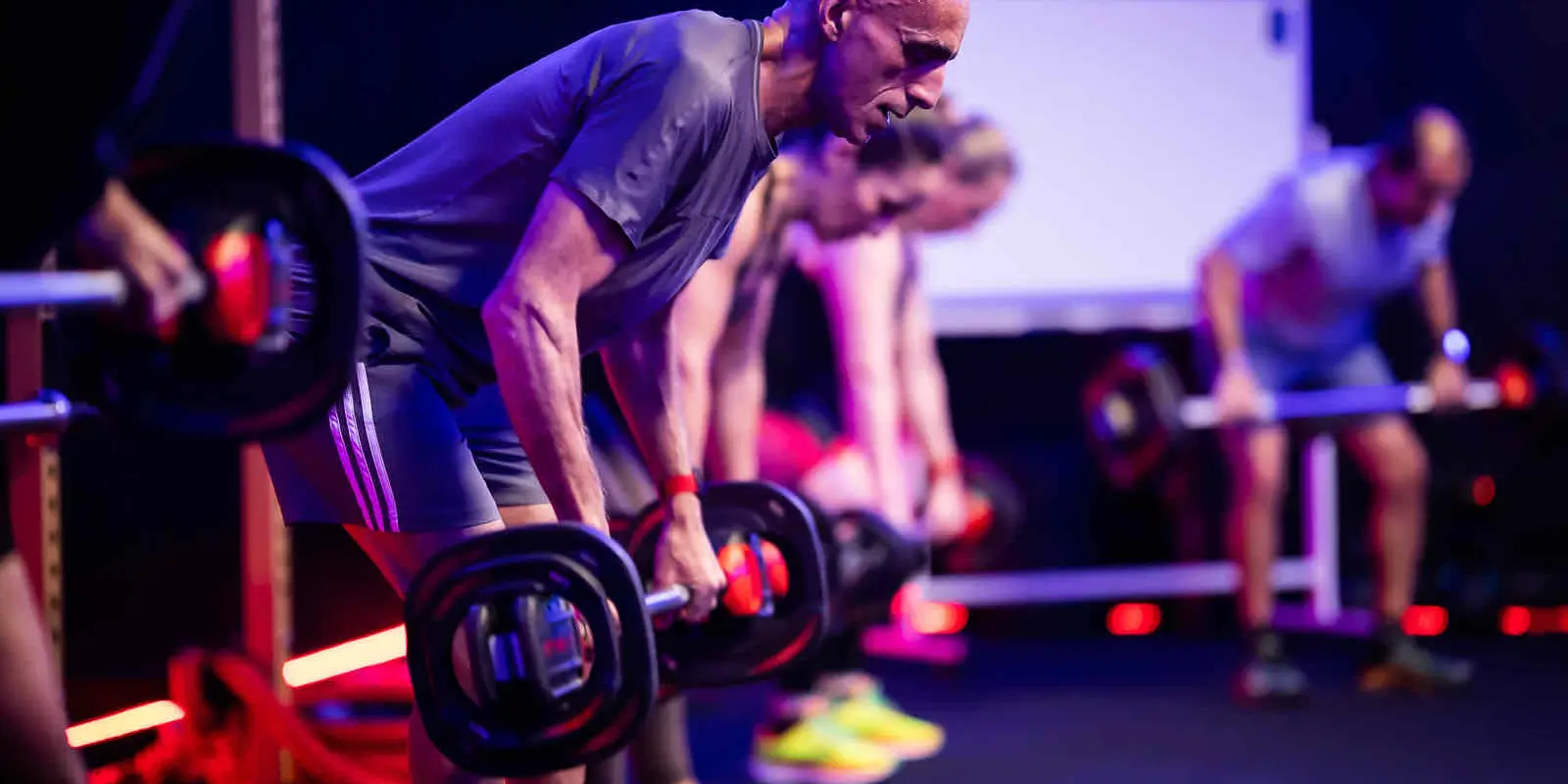 Le Ludus Studio