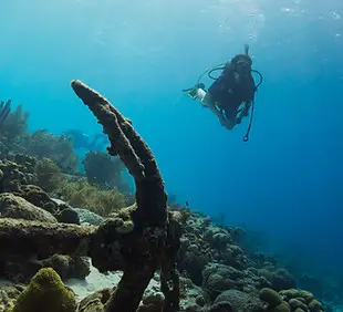 Dive in Falmouth