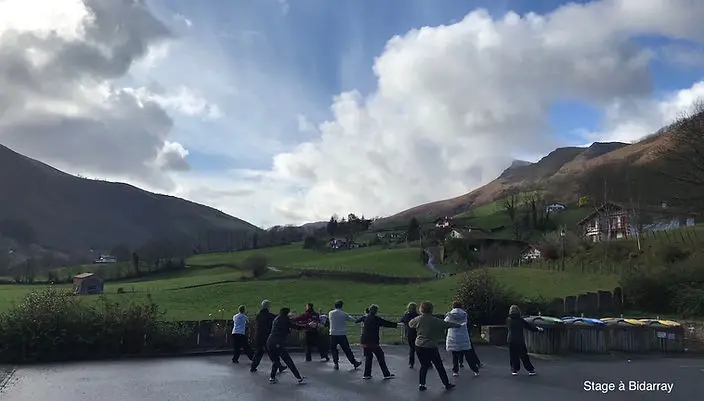 Association L'art Du Tao Tai Chi Chuan - Qi Gong | Rennes, France