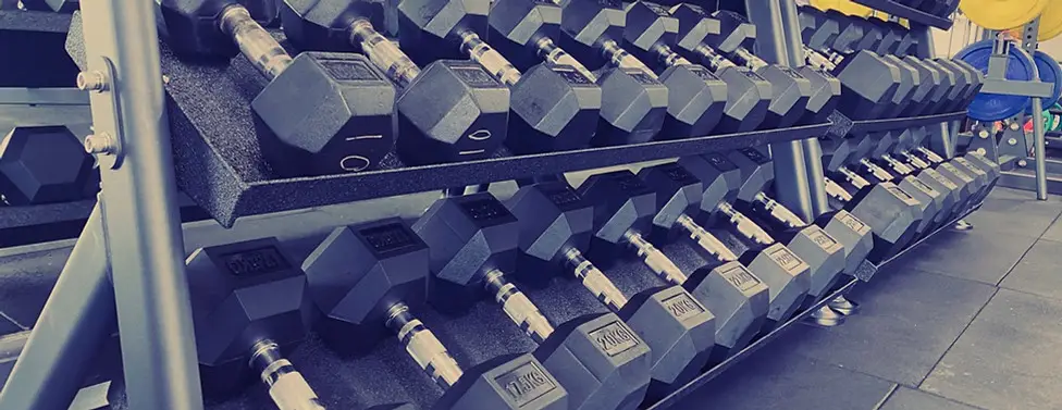 New Body Fitness