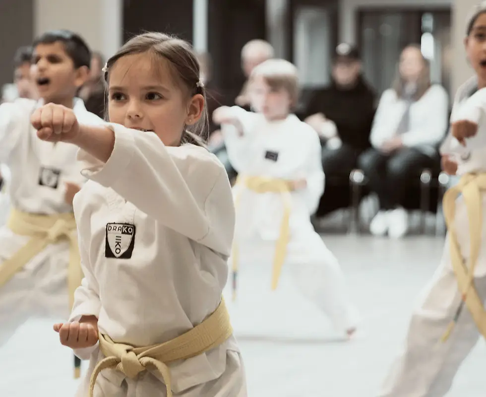 Langley Taekwondo Academy