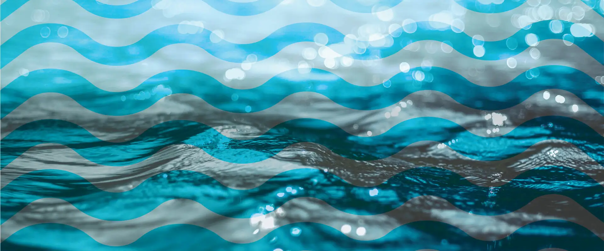 Swim Lakeside